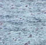Lavender Blue granite